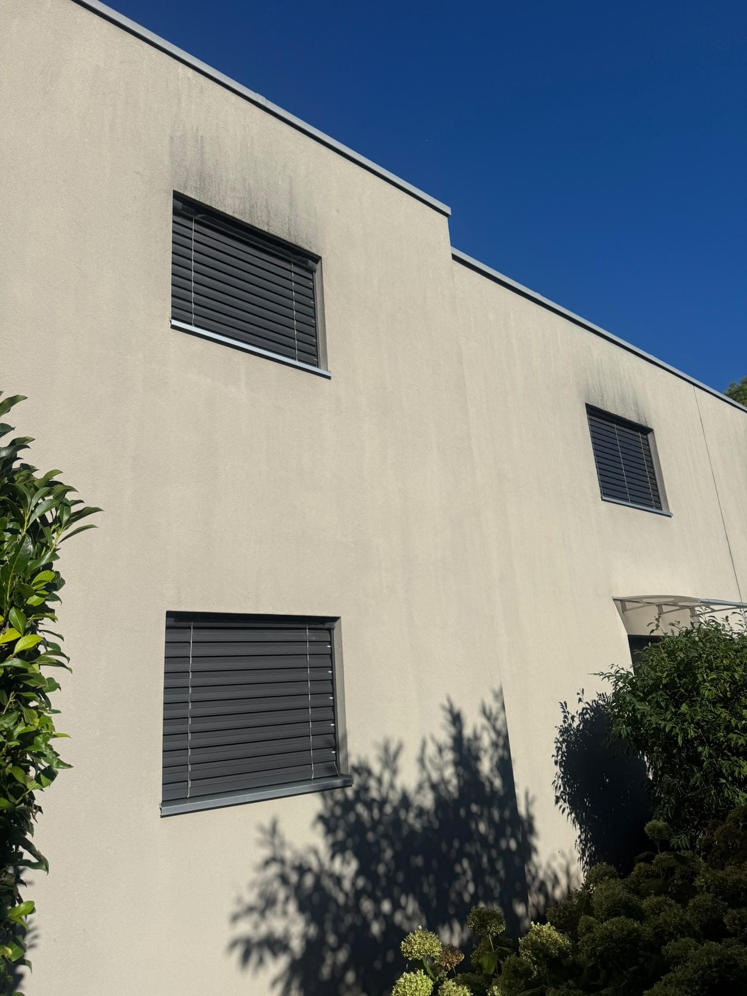 Façade de villa tachée de traînées sombres sous la toiture plate